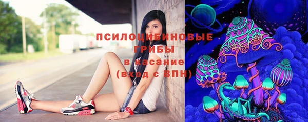 гидропоника Лабытнанги