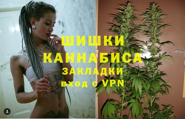 мет Ладушкин